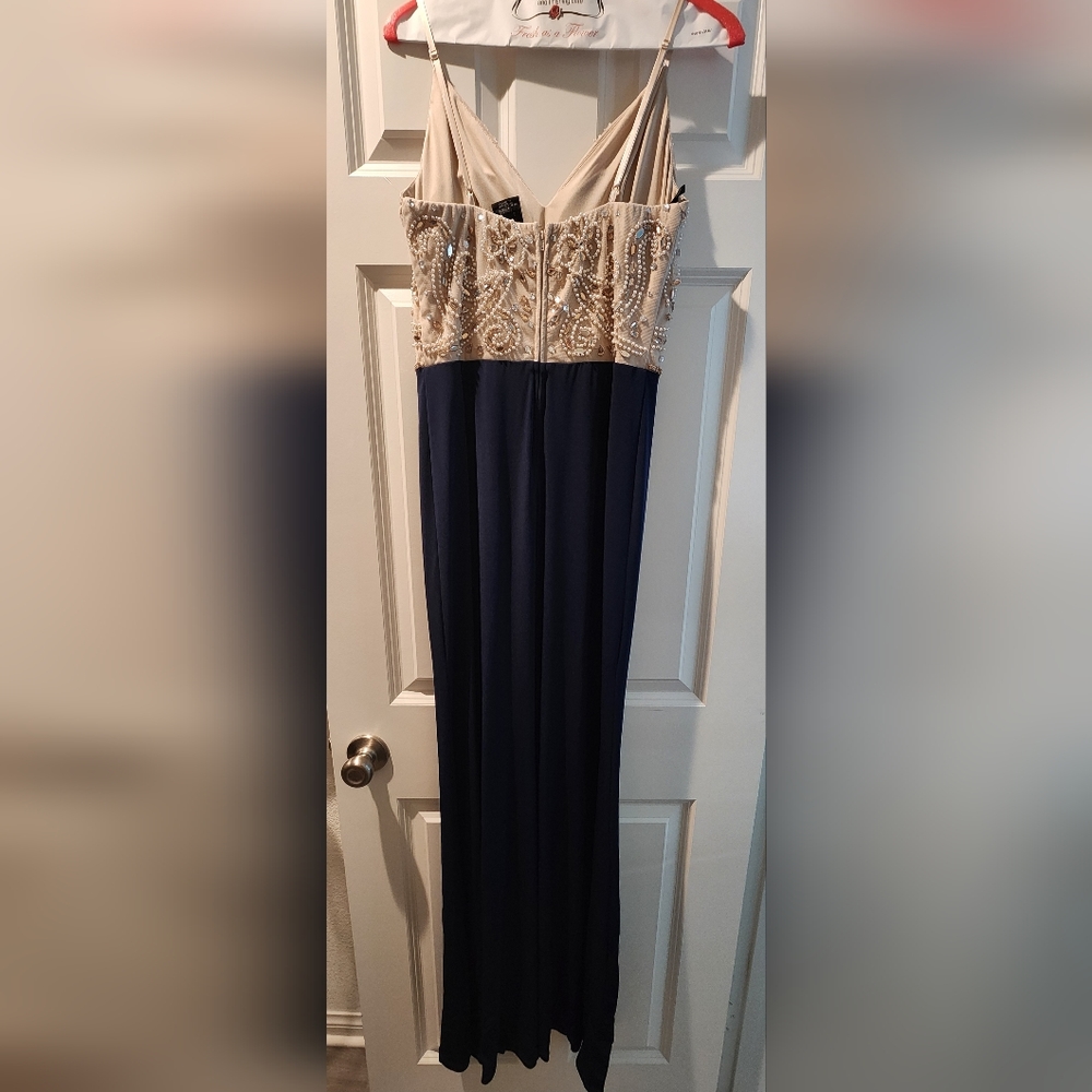 Windsor Dress Champagne & Navy - Picture 5 of 5